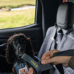 「いすゞD-Max×Ruffwearコレクション」