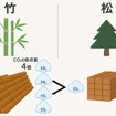 同じ面積、期間で得られる竹と木材（松）の生育量の比較