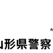 朝日が眩しすぎて横断者を見落とす