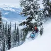 Ski-Doo Freeride