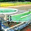 熊本県天草市では、廃校となった中学校を再生し、藻類培養施設として活用