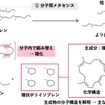 メタセシス化学分解の反応経路