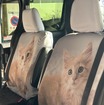 特別仕様のねこシート
