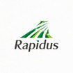 Rapidus（ラビダス）のロゴ