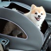 純正愛犬用アクセサリー「Honda Dog」シリーズペットシートプラスわん2