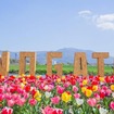 「のおがたチューリップフェア」