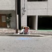 短いガードレール（東京都江東区）