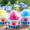 千寿 かき氷