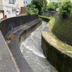 渋谷川（6月3日、東京都渋谷区）