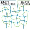 半相互侵入網目（Semi-IPN）構造