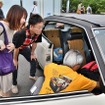 第5回プリンスの丘自動車ショウ
