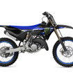 ヤマハ YZ125 Monster Energy Edition