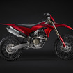 ドゥカティ デスモ250 MX