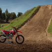ドゥカティ デスモ250 MX