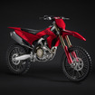 ドゥカティ デスモ250 MX