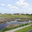日野自動車の茨城県古河工場の北側緑地ビオトープ