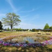 日野自動車の茨城県古河工場の南側調整池