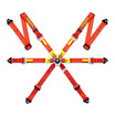 MOMO PRO RACING 6P（レッド）