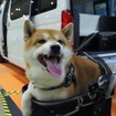 ペット同伴可・中学生以下無料