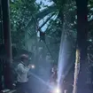 カブトムシドーム ナイトツアー
