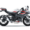 カワサキ Ninja 250 2027年モデル