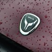 アルシオーネSVX35周年全国ミーティング2026