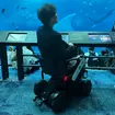 免許不要の近距離モビリティ「WHILL」を沖縄美ら海水族館に導入