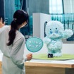 オリジナルパートナーロボット「ケパラン」