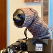 国産汎用ロボット7社の試作機を一堂に公開、フィジカルAI実装へ前進　ugoは新型セミヒューマノイド「ugo Nova」を初披露