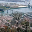 東洋大橋