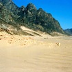 中国でおこなっている植林活動の様子（植林前 2001年4月）