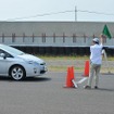 イベントの模様