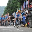 本レース
