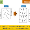 パターン概要