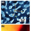 ナノポーラス金属/酸化物（Au/MnO2）ハイブリッド電極材料の（a）透過電子顕微鏡像、（b）同じく走査型透過電子顕微鏡像