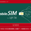 b-mobileSIM U300 8ヶ月（245日間）パッケージ b-mobileSIM U300 8ヶ月（245日間）パッケージ
