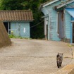 東日本大震災 田代島 震災前（2010年9月）