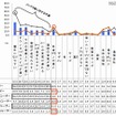 現在使っているスマートフォンの不満な点 現在使っているスマートフォンの不満な点