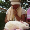 南海電鉄、飼育員や獣医の手伝い体験ができる「動物園サマースクール」 動物園スタッフの仕事体験イメージ