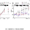 「集中学習より休憩を取りながらの学習が効果的」実験結果を発表 小脳皮質のタンパク質合成と分散効果