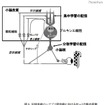 「集中学習より休憩を取りながらの学習が効果的」実験結果を発表 記憶痕跡のシナプス間移動におけるタンパク質の役割