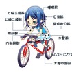 図説 自転車少女 - スポーツバイクはじめました -