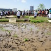 首都高速道路、大橋ジャンクションの換気所屋上に現れた水田で小学生が田植えを体験