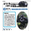中学生向けの大学の授業「京都大学ジュニアキャンパス2011」9/17・18 特別講義「ゴリラの行動から人間の不思議な特徴を考える」9/17