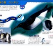 海中を泳ぐ鳥 ペンギン