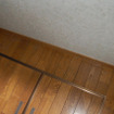 かなりきれいになった