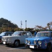 8と8ゴルディーニ。