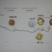 【GDC China 2011】日本でも成功するHappy Elementsが語る「長く愛されるソーシャルゲーム」の作り方と国際展開 詳細