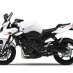 ヤマハ FZ1 FAZER