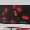 デンソー（東京モーターショー11）